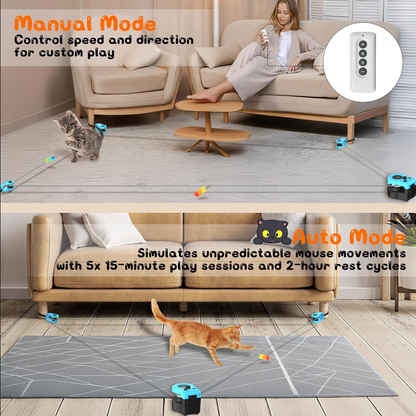 Interactive Cat Treadmill Toy
